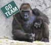 1213571_gorilla_marketing